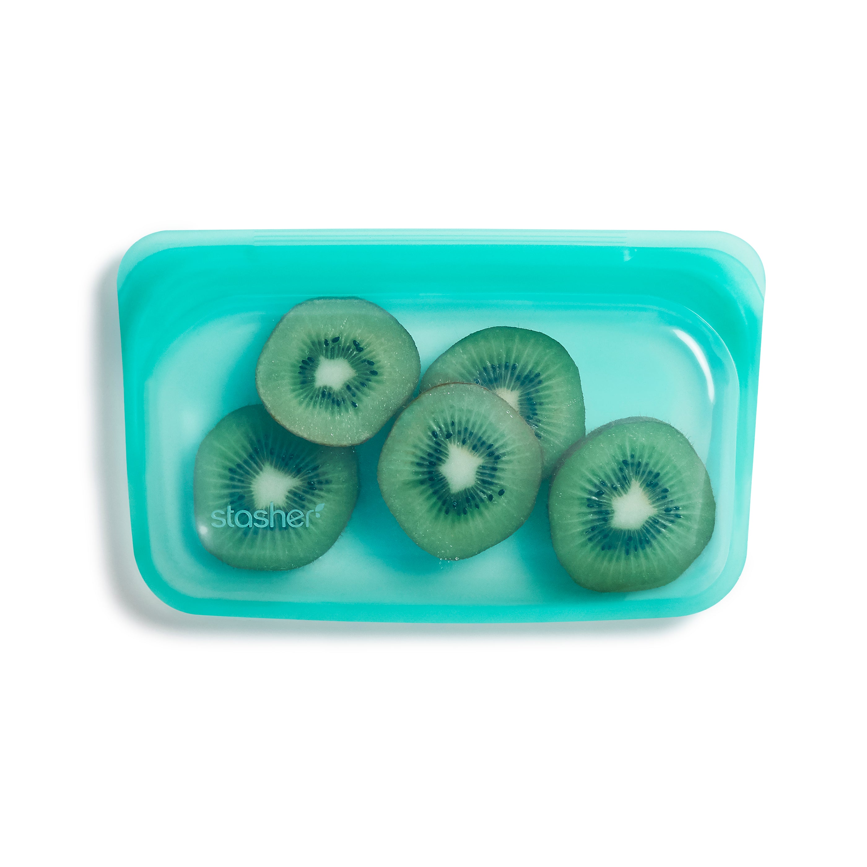 stasher aqua with kiwis